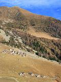 Motoalpinismo in Valtellina - 174